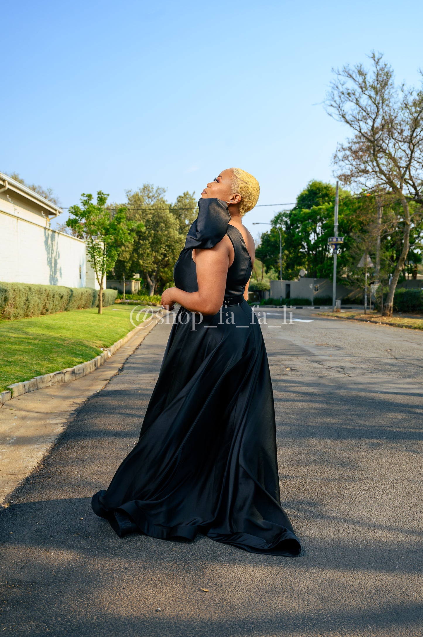 Black Ball Gown Style Dress